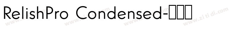 RelishPro Condensed字体转换